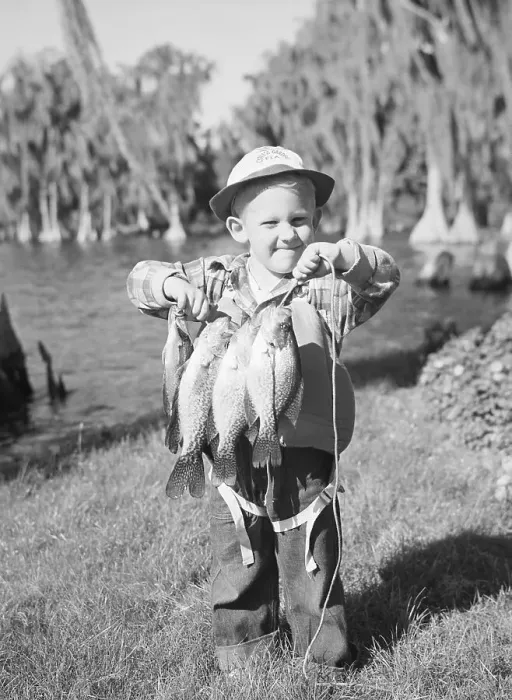 Framed Print : Young Boy Holding String of Bass He Caught Framed Print : Young Boy Holding String of Bass He Caught
