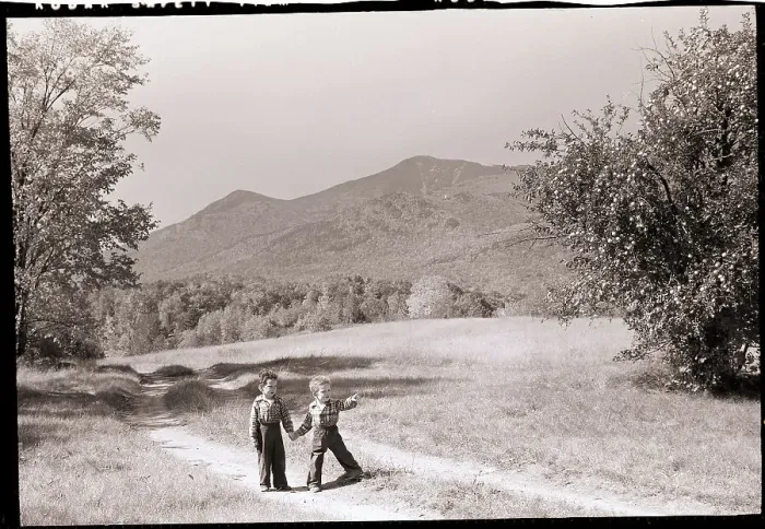 Framed Print : Two Young Boys In Old Apple Orchard