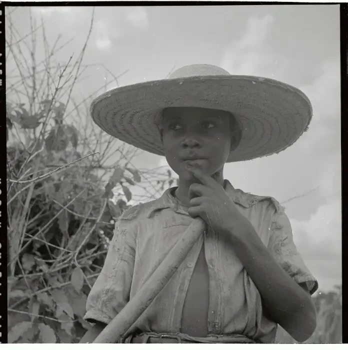 Framed Print : Young Brazilian Boy Working on Plantation Framed Print : Young Brazilian Boy Working on Plantation