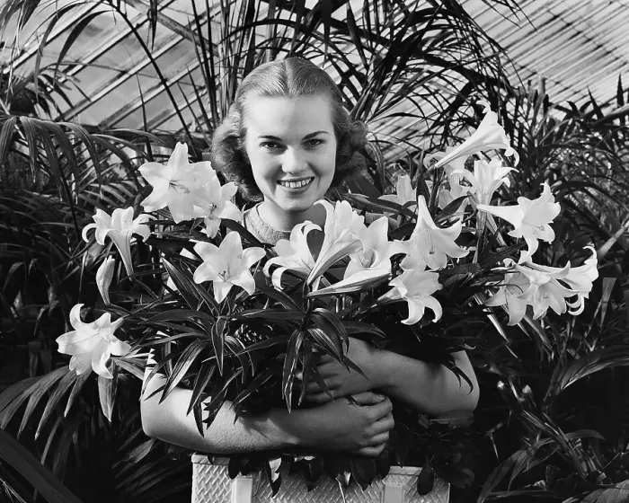 Framed Print : Young Woman with Arms Full of Easter Lillies Framed Print : Young Woman with Arms Full of Easter Lillies