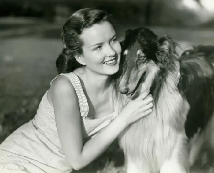 Framed Print : Young woman hugging Collie in park Framed Print : Young woman hugging Collie in park