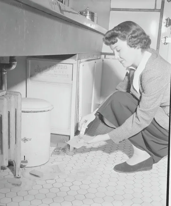 Framed Print : Young Woman Utilizing Rat Control with Bait Framed Print : Young Woman Utilizing Rat Control with Bait