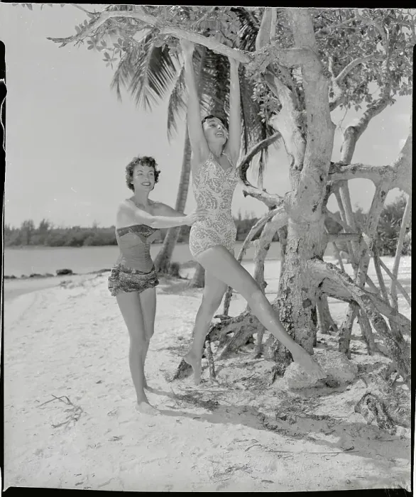 Framed Print : Young Women Enjoying Acrobatics by Using Tree Framed Print : Young Women Enjoying Acrobatics by Using Tree