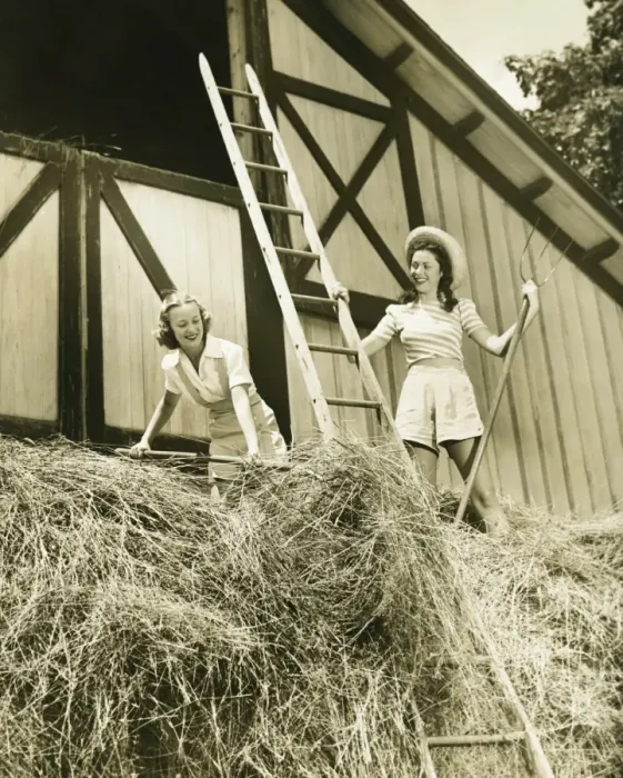 Framed Print : Two young women pitching hay, (B&W)