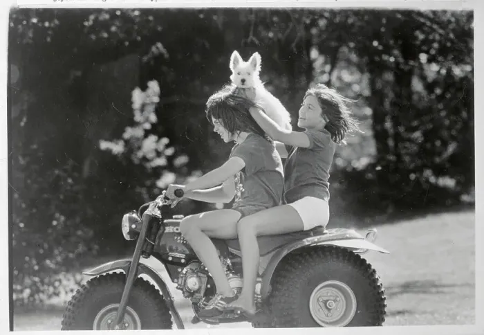 Framed Print : Youngsters and Dog On Motor Bike Framed Print : Youngsters and Dog On Motor Bike
