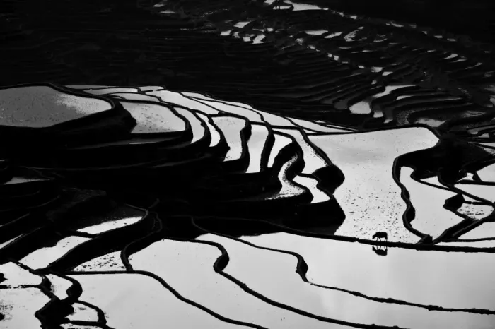 Framed Print : Yuanyang rice terrace