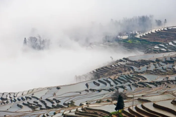 Framed Print : Yuanyang rice terrace Framed Print : Yuanyang rice terrace