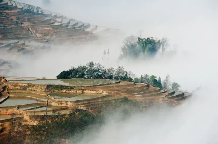 Framed Print : Yuanyang rice terrace Framed Print : Yuanyang rice terrace