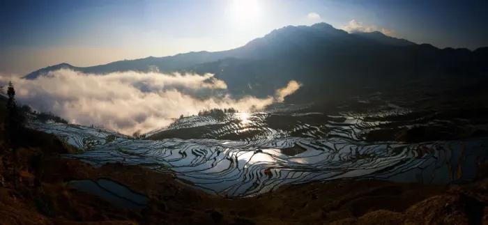 Framed Print : Yuanyang rice terrace