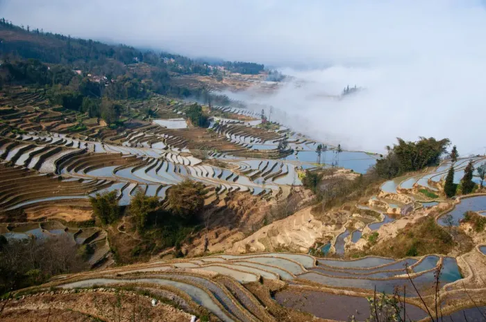 Framed Print : Yuanyang rice terrace Framed Print : Yuanyang rice terrace
