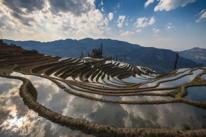 Framed Print : Yuanyang rice terrace, Yunnan, China Framed Print : Yuanyang rice terrace, Yunnan, China