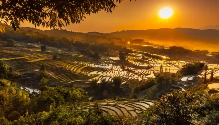 Framed Print : Yuanyang rice terrace, Yunnan, China Framed Print : Yuanyang rice terrace, Yunnan, China
