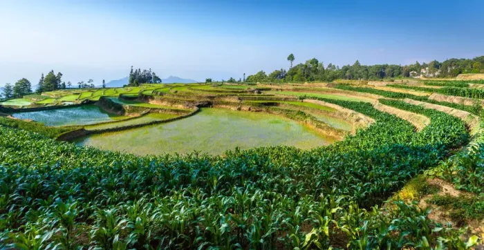Framed Print : Yuanyang rice terrace, Yunnan, China