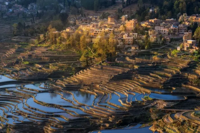 Framed Print : Yuanyang rice terrace, Yunnan, China