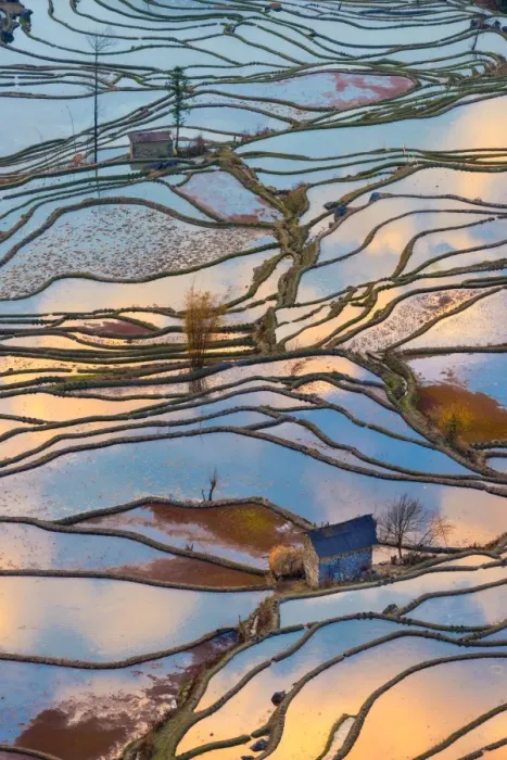 Framed Print : Yuanyang rice terrace, Yunnan, China