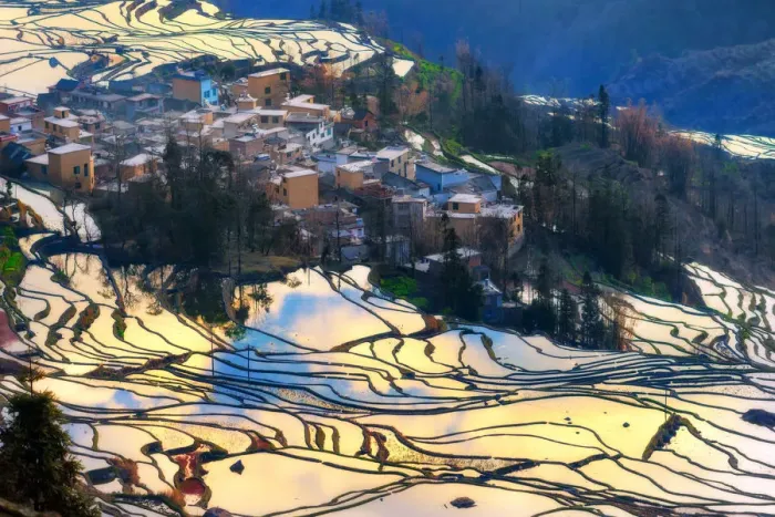 Framed Print : Yuanyang rice terrace, Yunnan, China