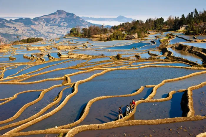 Framed Print : Yuanyang rice terrace, Yunnan, China