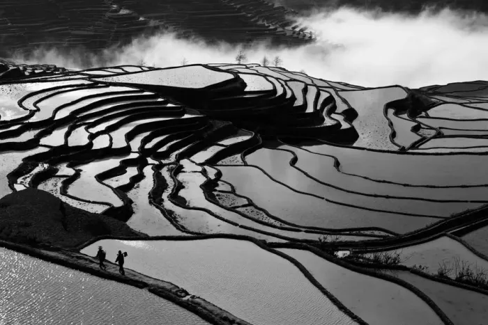 Framed Print : Yuanyang rice terrace, Yunnan, China Framed Print : Yuanyang rice terrace, Yunnan, China