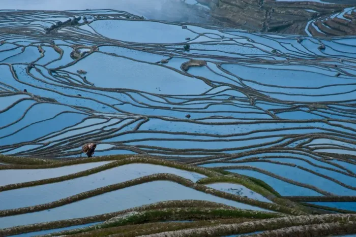 Framed Print : Yuanyang rice terrace, Yunnan, China Framed Print : Yuanyang rice terrace, Yunnan, China