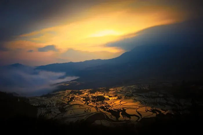 Framed Print : Yuanyang rice terrace, Yunnan, China Framed Print : Yuanyang rice terrace, Yunnan, China