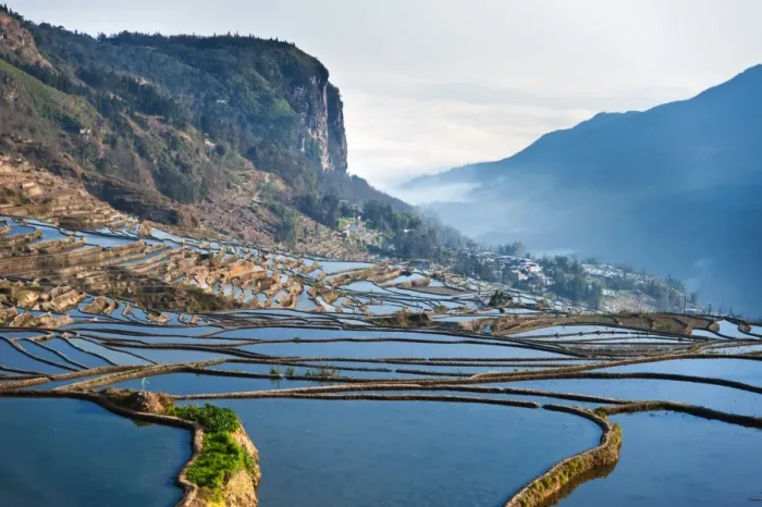 Framed Print : Yuanyang rice terrace, Yunnan, China Framed Print : Yuanyang rice terrace, Yunnan, China
