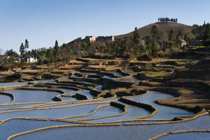 Framed Print : Yuanyang rice terrace, Yunnan, China Framed Print : Yuanyang rice terrace, Yunnan, China