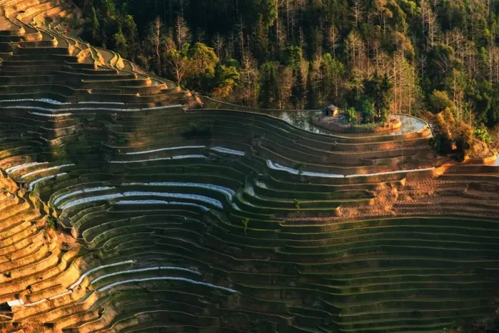 Framed Print : Yuanyang rice terrace, Yunnan, China Framed Print : Yuanyang rice terrace, Yunnan, China