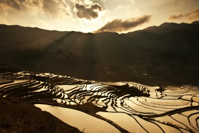 Framed Print : Yuanyang rice terrace, Yunnan, China Framed Print : Yuanyang rice terrace, Yunnan, China