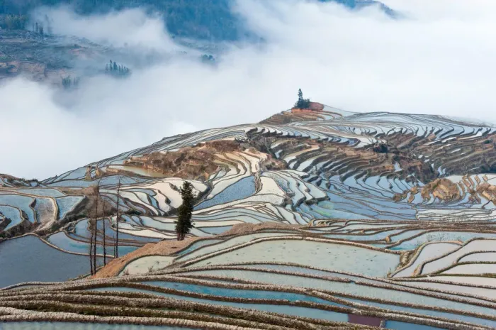Framed Print : Yuanyang rice terrace, Yunnan, China Framed Print : Yuanyang rice terrace, Yunnan, China