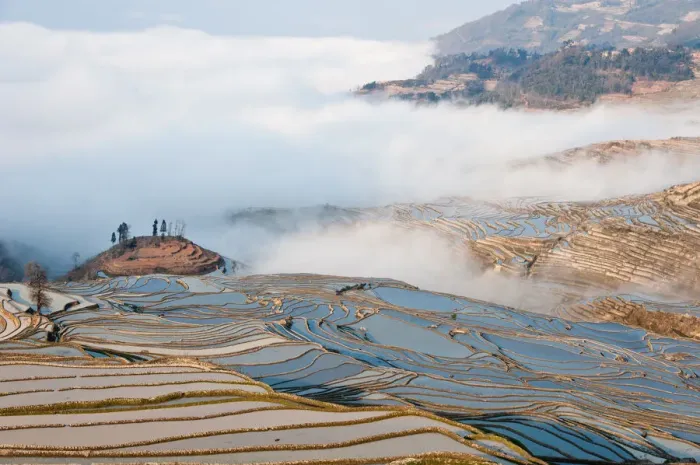 Framed Print : Yuanyang rice terrace, Yunnan, China Framed Print : Yuanyang rice terrace, Yunnan, China