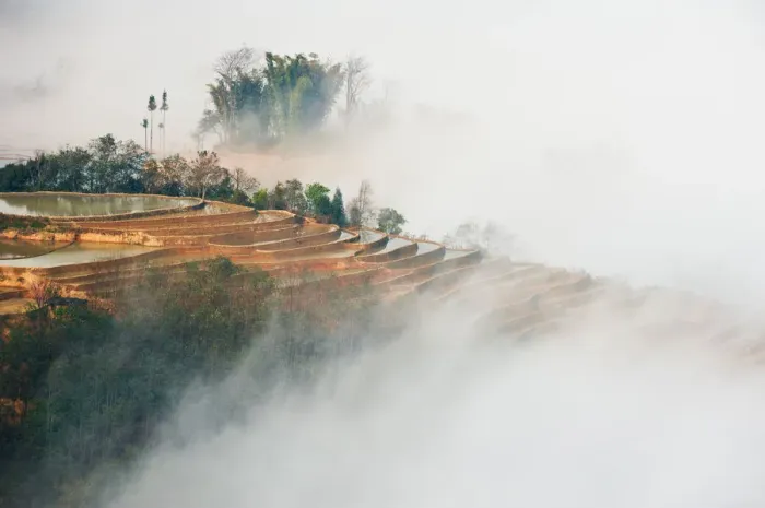 Framed Print : Yuanyang rice terrace, Yunnan, China Framed Print : Yuanyang rice terrace, Yunnan, China