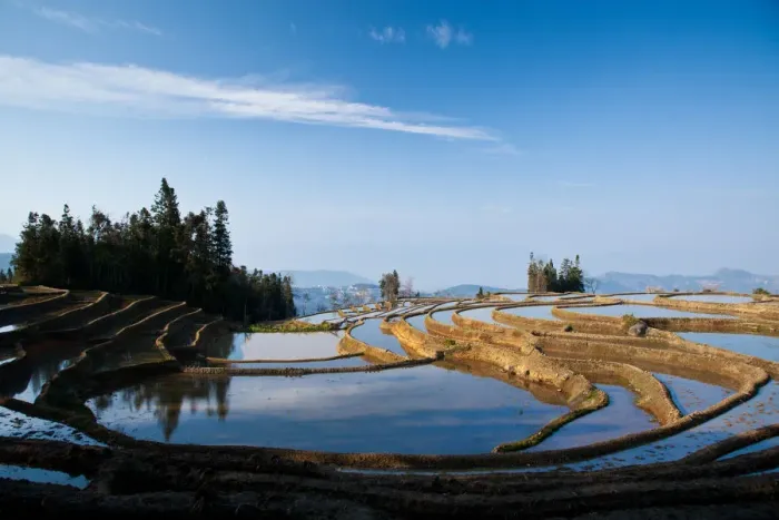 Framed Print : Yuanyang rice terrace, Yunnan, China Framed Print : Yuanyang rice terrace, Yunnan, China