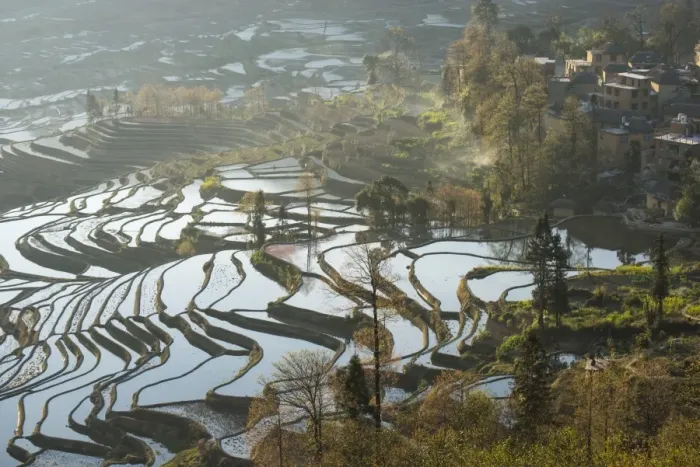Framed Print : Yuanyang Rice Terraces Framed Print : Yuanyang Rice Terraces