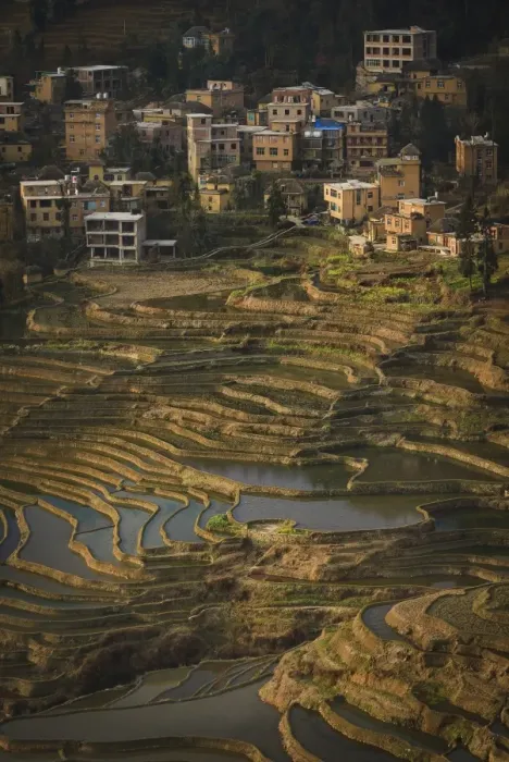 Framed Print : Yuanyang Rice Terraces Framed Print : Yuanyang Rice Terraces