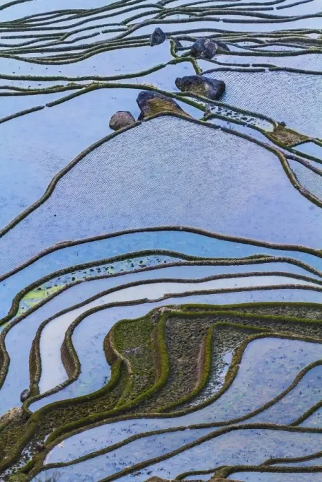 Framed Print : Yuanyang Rice Terraces Framed Print : Yuanyang Rice Terraces