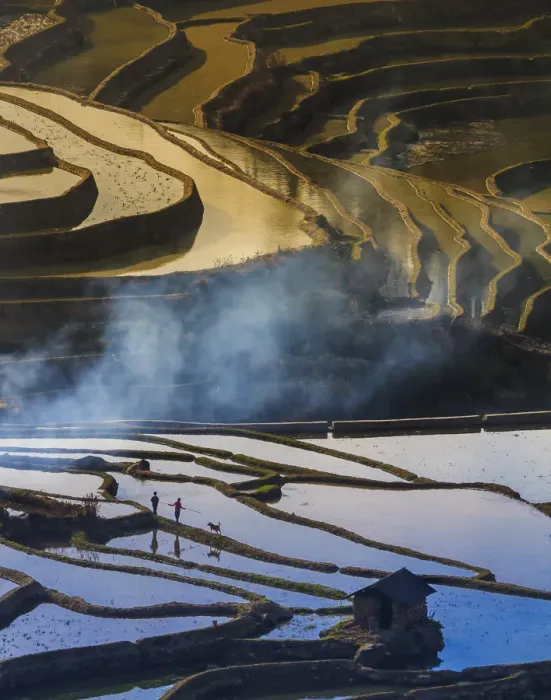 Framed Print : Yuanyang Rice Terraces