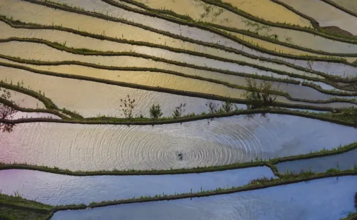 Framed Print : Yuanyang Rice Terraces Framed Print : Yuanyang Rice Terraces