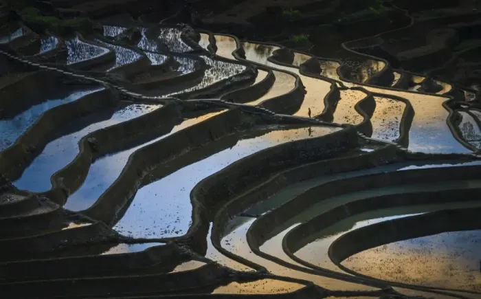 Framed Print : Yuanyang Rice Terraces Framed Print : Yuanyang Rice Terraces