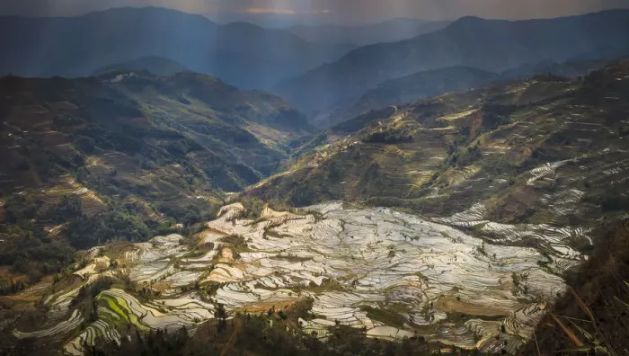 Framed Print : Yuanyang Rice Terraces Framed Print : Yuanyang Rice Terraces