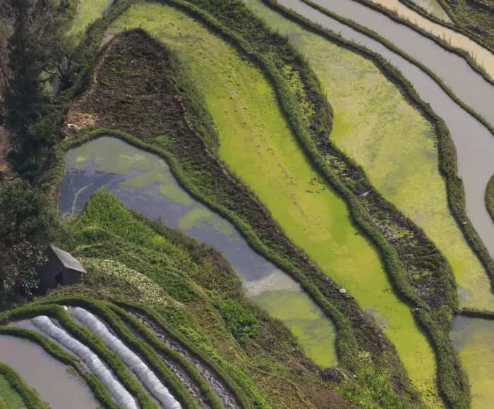 Framed Print : Yuanyang Rice Terraces Framed Print : Yuanyang Rice Terraces