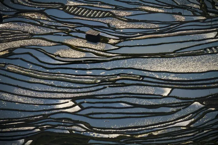 Framed Print : Yuanyang Rice Terraces Framed Print : Yuanyang Rice Terraces