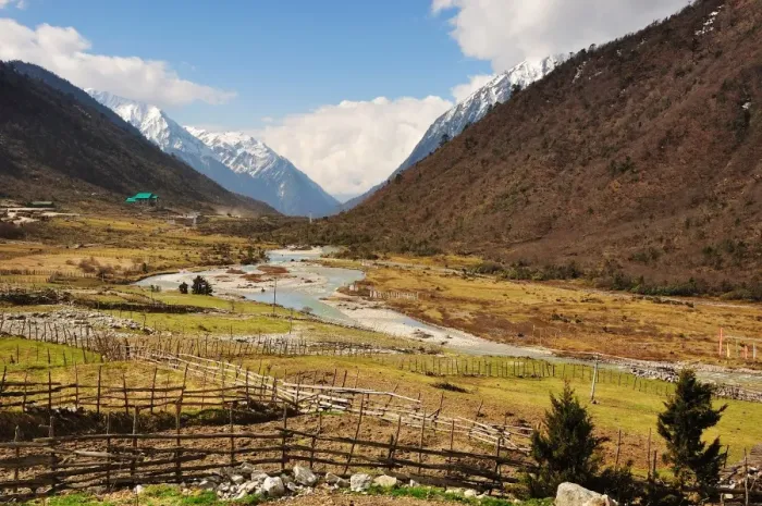 Framed Print : Yumthang Valley Framed Print : Yumthang Valley
