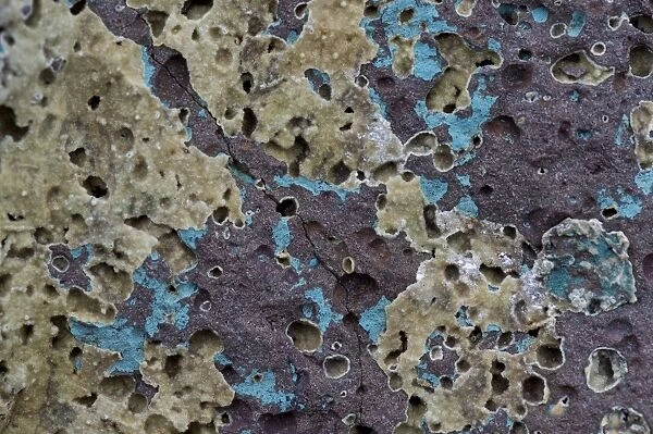 Zeolite geode, minerals, Faroe Islands, Denmark