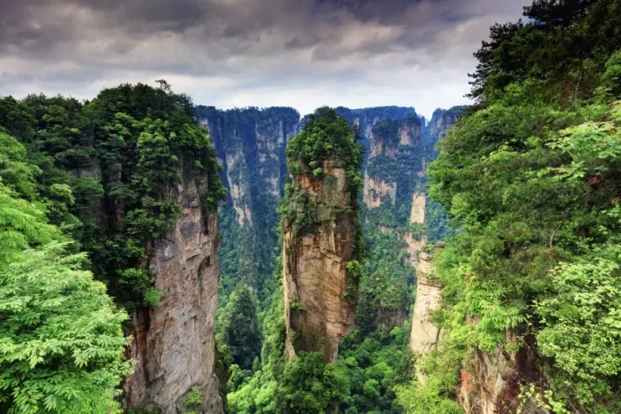 Framed Print : Zhangjiajie forest Framed Print : Zhangjiajie forest