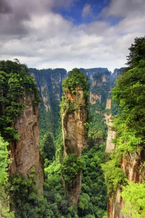 Framed Print : Zhangjiajie forest Framed Print : Zhangjiajie forest