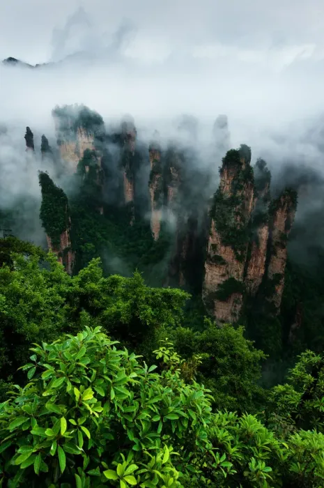 Framed Print : Zhangjiejia national park Framed Print : Zhangjiejia national park