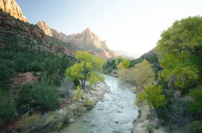 Framed Print : Zion national park in scene