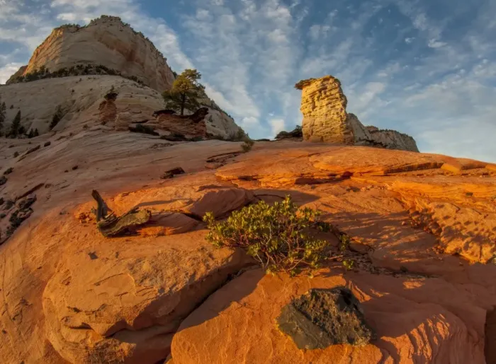 Framed Print : Zion NP hoodoo at sunset
