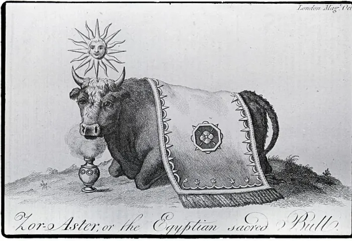 Framed Print : Zo-Aster, The Egyptian Sacred Bull Framed Print : Zo-Aster, The Egyptian Sacred Bull