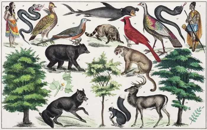 Framed Print : Zone painting North America, United States, Texas, from Natural History and Ethnology, hand-coloured plate by Traugott Bromme, Stuttgart 1846 Framed Print : Zone painting North America, United States, Texas, from Natural History and Ethnology, hand-coloured plate by Traugott Bromme, Stuttgart 1846